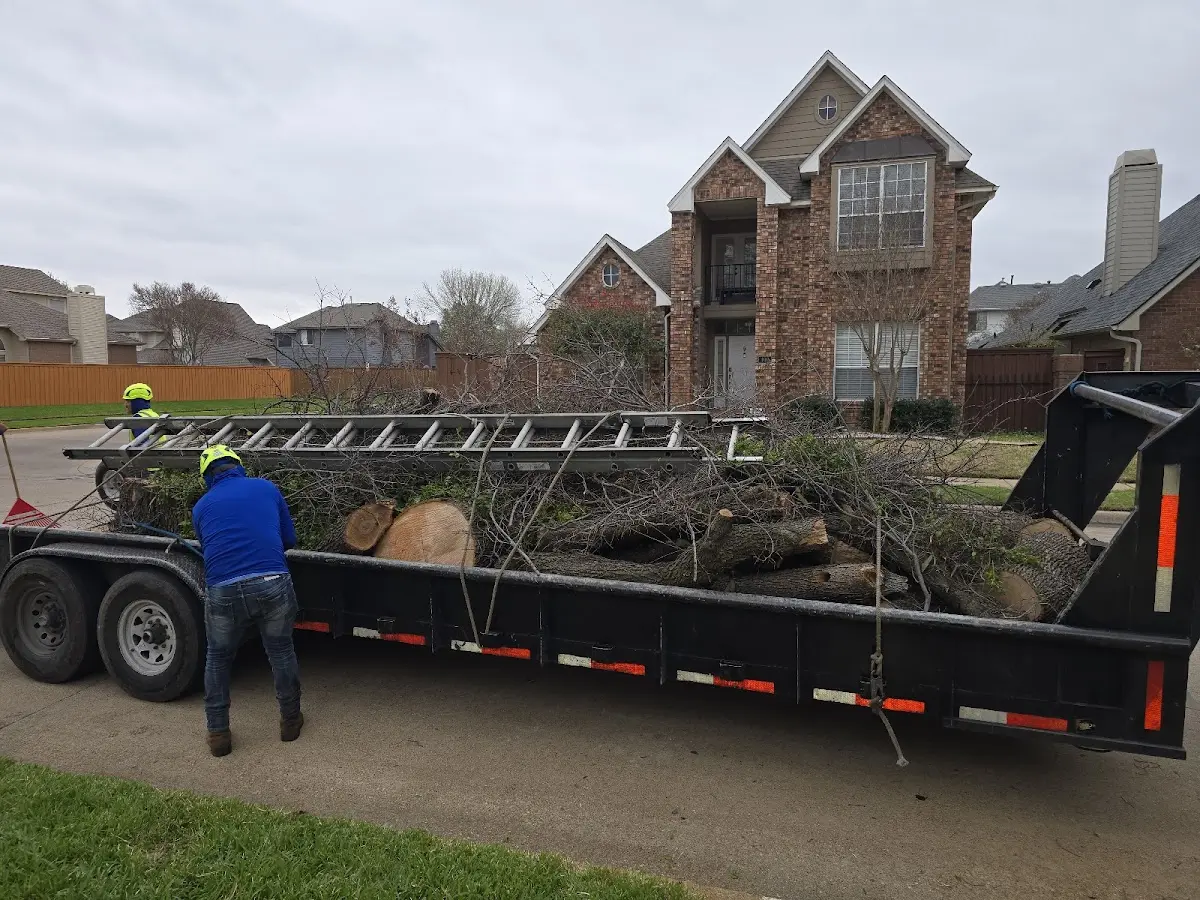 Expert Tree Fertilization with proper safety equipment in Frost